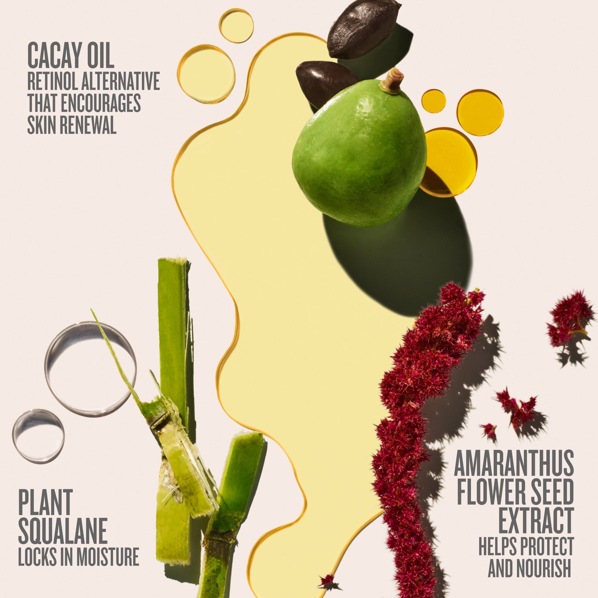 Elasticity-Boosting Duo - Image 3